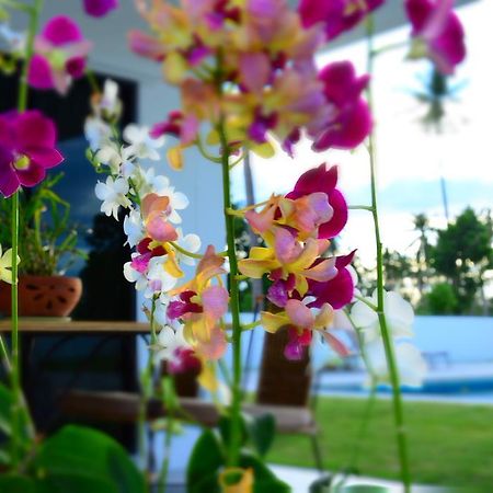 Mango Beach Resort Thailand Ban Huai Yang Exterior photo